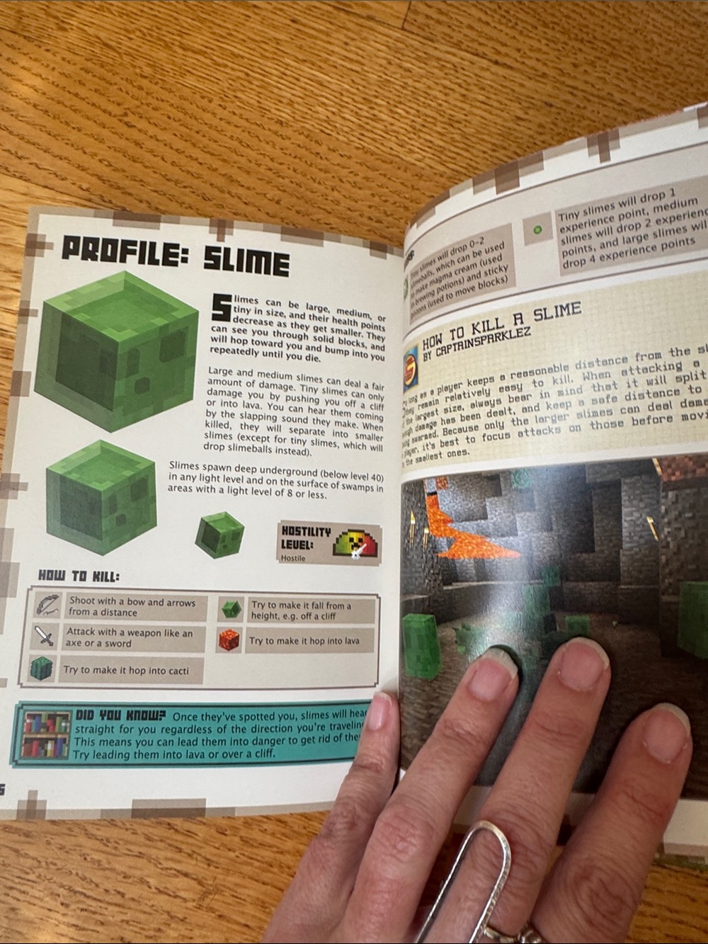 Minecraft Essential Handbook Updated Edition - Picture 3 of 3